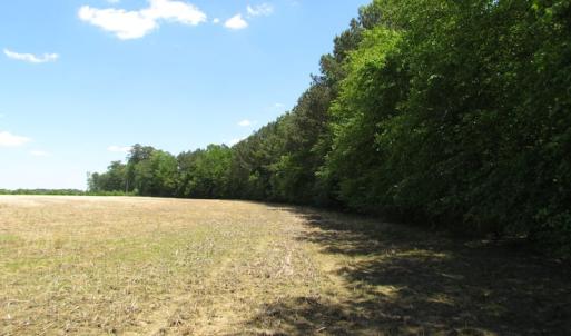 Photo of UNDER CONTRACT!  13.3 Acres of Farm Timber and Hunting Land For Sale in Sussex County VA!