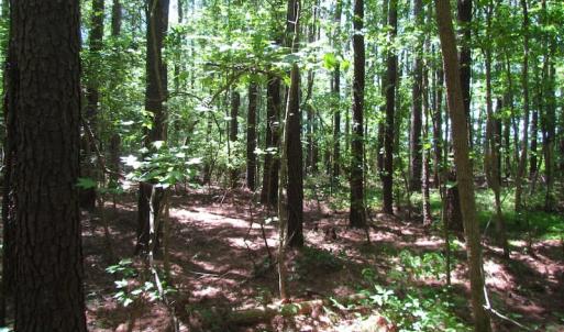 Photo of UNDER CONTRACT!  13.3 Acres of Farm Timber and Hunting Land For Sale in Sussex County VA!