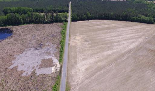 Photo of UNDER CONTRACT!  13.3 Acres of Farm Timber and Hunting Land For Sale in Sussex County VA!