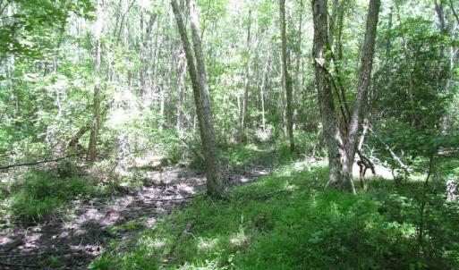 Photo of UNDER CONTRACT!  13.3 Acres of Farm Timber and Hunting Land For Sale in Sussex County VA!