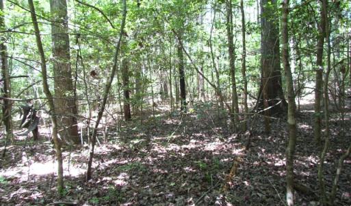 Photo of UNDER CONTRACT!  13.3 Acres of Farm Timber and Hunting Land For Sale in Sussex County VA!