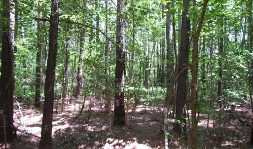 Photo of UNDER CONTRACT!  13.3 Acres of Farm Timber and Hunting Land For Sale in Sussex County VA!