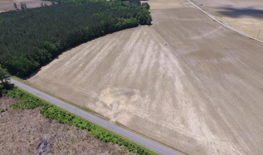 Photo of UNDER CONTRACT!  13.3 Acres of Farm Timber and Hunting Land For Sale in Sussex County VA!