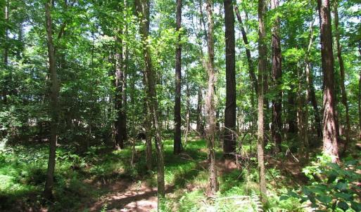 Photo of UNDER CONTRACT!  13.3 Acres of Farm Timber and Hunting Land For Sale in Sussex County VA!