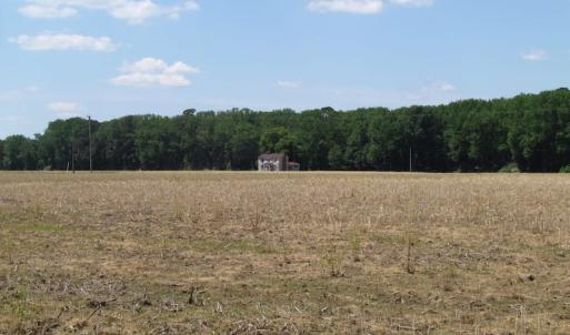 Photo of UNDER CONTRACT!  13.3 Acres of Farm Timber and Hunting Land For Sale in Sussex County VA!