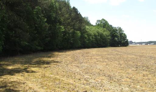 Photo of UNDER CONTRACT!  13.3 Acres of Farm Timber and Hunting Land For Sale in Sussex County VA!
