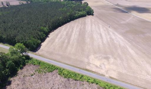 Photo of UNDER CONTRACT!  13.3 Acres of Farm Timber and Hunting Land For Sale in Sussex County VA!