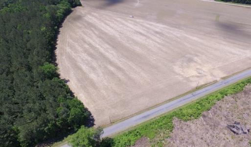 Photo of UNDER CONTRACT!  13.3 Acres of Farm Timber and Hunting Land For Sale in Sussex County VA!