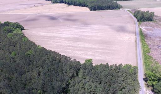 Photo of UNDER CONTRACT!  13.3 Acres of Farm Timber and Hunting Land For Sale in Sussex County VA!