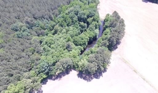 Photo of UNDER CONTRACT!  13.3 Acres of Farm Timber and Hunting Land For Sale in Sussex County VA!