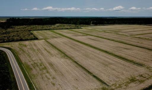 Photo of UNDER CONTRACT!  75 Acres of Farm and Hunting Land For Sale in Tyrrell County NC!