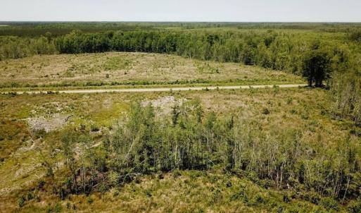 Photo of UNDER CONTRACT!  75 Acres of Farm and Hunting Land For Sale in Tyrrell County NC!