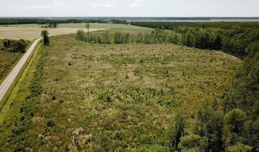 Photo of UNDER CONTRACT!  75 Acres of Farm and Hunting Land For Sale in Tyrrell County NC!