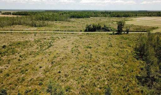 Photo of UNDER CONTRACT!  75 Acres of Farm and Hunting Land For Sale in Tyrrell County NC!