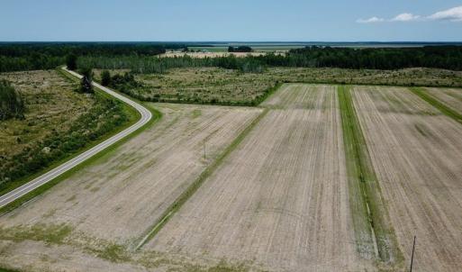 Photo of UNDER CONTRACT!  75 Acres of Farm and Hunting Land For Sale in Tyrrell County NC!