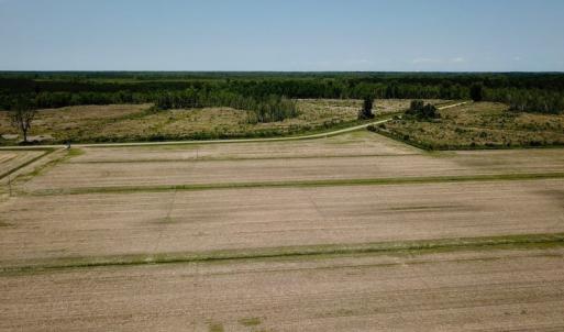 Photo of UNDER CONTRACT!  75 Acres of Farm and Hunting Land For Sale in Tyrrell County NC!