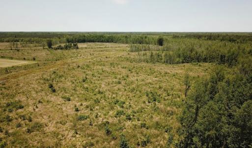 Photo of UNDER CONTRACT!  75 Acres of Farm and Hunting Land For Sale in Tyrrell County NC!