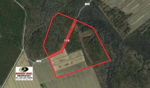 Photo of UNDER CONTRACT!  75 Acres of Farm and Hunting Land For Sale in Tyrrell County NC!