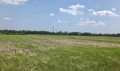 Photo of UNDER CONTRACT!  75 Acres of Farm and Hunting Land For Sale in Tyrrell County NC!