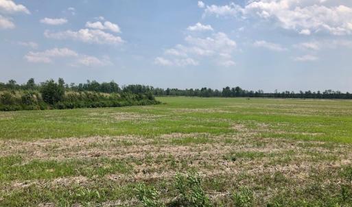 Photo of UNDER CONTRACT!  75 Acres of Farm and Hunting Land For Sale in Tyrrell County NC!