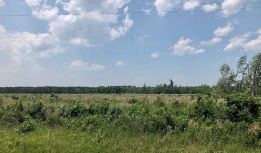 Photo of UNDER CONTRACT!  75 Acres of Farm and Hunting Land For Sale in Tyrrell County NC!