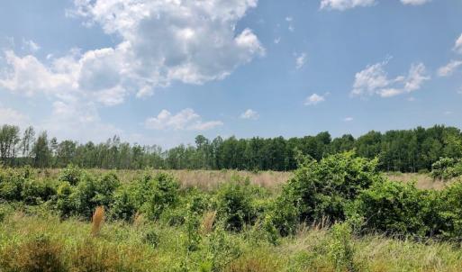 Photo of UNDER CONTRACT!  75 Acres of Farm and Hunting Land For Sale in Tyrrell County NC!