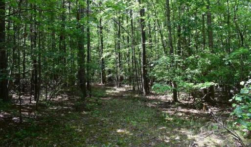 Photo of SOLD!!  91 Acres of Undeveloped Residential Land For Sale in Gloucester County VA!