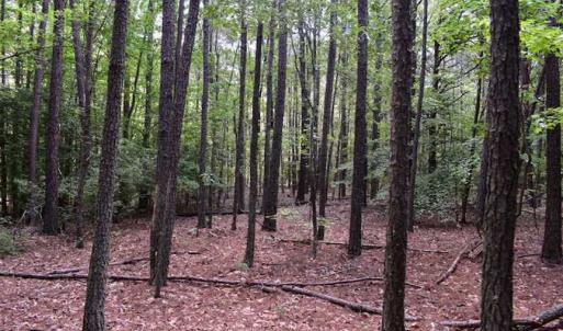 Photo of SOLD!!  91 Acres of Undeveloped Residential Land For Sale in Gloucester County VA!