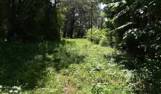Photo of SOLD!!  91 Acres of Undeveloped Residential Land For Sale in Gloucester County VA!