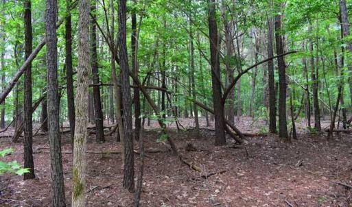 Photo of SOLD!!  91 Acres of Undeveloped Residential Land For Sale in Gloucester County VA!