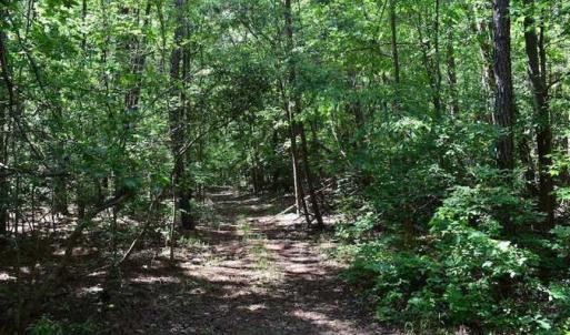 Photo of SOLD!!  91 Acres of Undeveloped Residential Land For Sale in Gloucester County VA!