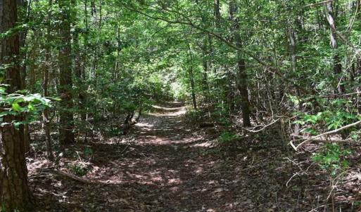 Photo of SOLD!!  91 Acres of Undeveloped Residential Land For Sale in Gloucester County VA!