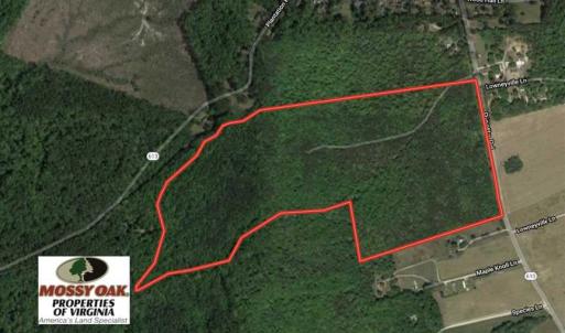 Photo of SOLD!!  91 Acres of Undeveloped Residential Land For Sale in Gloucester County VA!