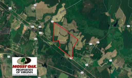 Photo of SOLD!  276 Acres of Farm and Hunting Land For Sale in Prince George County VA!
