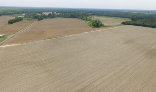 Photo of SOLD!  276 Acres of Farm and Hunting Land For Sale in Prince George County VA!