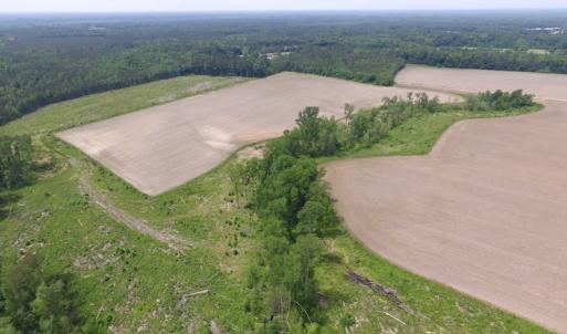 Photo of SOLD!  276 Acres of Farm and Hunting Land For Sale in Prince George County VA!