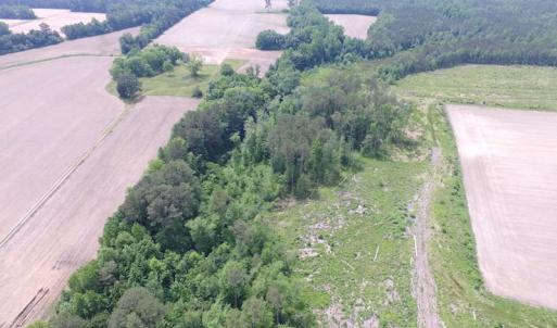 Photo of SOLD!  276 Acres of Farm and Hunting Land For Sale in Prince George County VA!