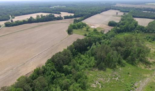 Photo of SOLD!  276 Acres of Farm and Hunting Land For Sale in Prince George County VA!