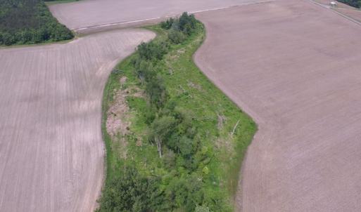 Photo of SOLD!  276 Acres of Farm and Hunting Land For Sale in Prince George County VA!