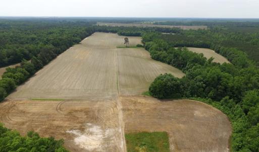 Photo of SOLD!  276 Acres of Farm and Hunting Land For Sale in Prince George County VA!