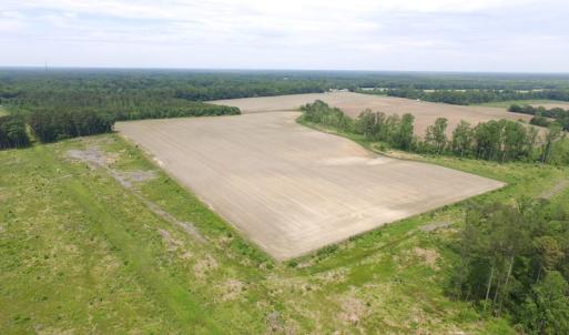 Photo of SOLD!  276 Acres of Farm and Hunting Land For Sale in Prince George County VA!