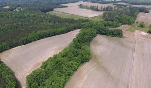 Photo of SOLD!  276 Acres of Farm and Hunting Land For Sale in Prince George County VA!