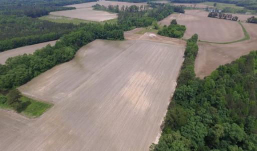Photo of SOLD!  276 Acres of Farm and Hunting Land For Sale in Prince George County VA!