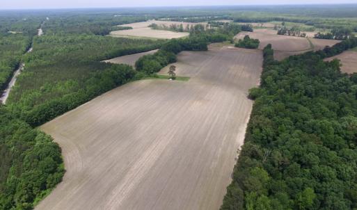 Photo of SOLD!  276 Acres of Farm and Hunting Land For Sale in Prince George County VA!