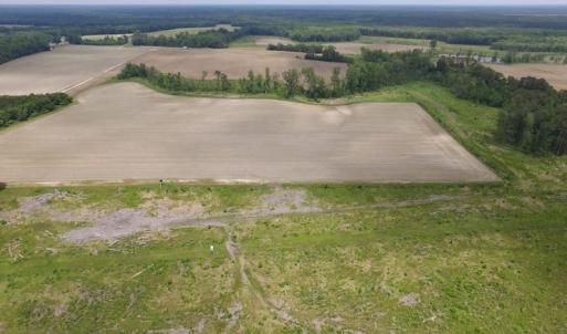 Photo of SOLD!  276 Acres of Farm and Hunting Land For Sale in Prince George County VA!