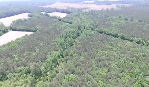 Photo of SOLD!  276 Acres of Farm and Hunting Land For Sale in Prince George County VA!