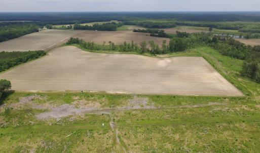 Photo of SOLD!  276 Acres of Farm and Hunting Land For Sale in Prince George County VA!
