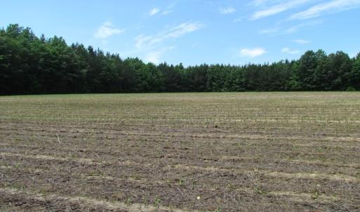 Photo of SOLD!  276 Acres of Farm and Hunting Land For Sale in Prince George County VA!