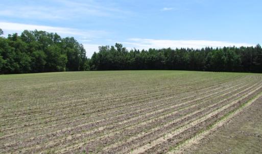 Photo of SOLD!  276 Acres of Farm and Hunting Land For Sale in Prince George County VA!