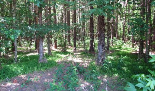 Photo of SOLD!  276 Acres of Farm and Hunting Land For Sale in Prince George County VA!